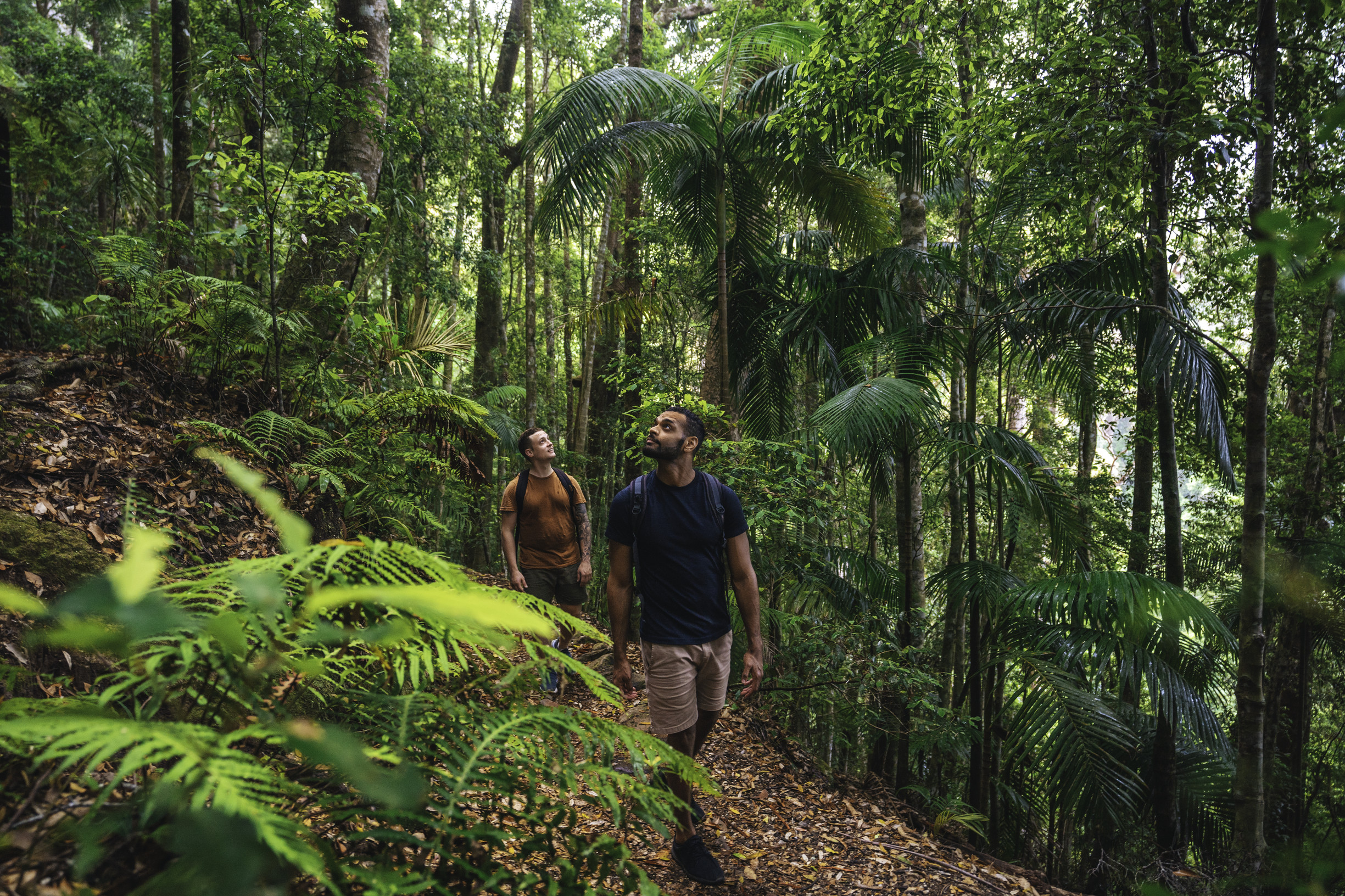 Everything You Need to Know About Natural Bridge | Queensland