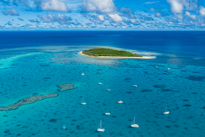 Lady Musgrave Island Lady Musgrave Island