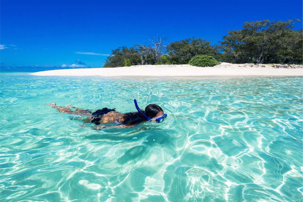 Heron Island | things to do Tannum Sands