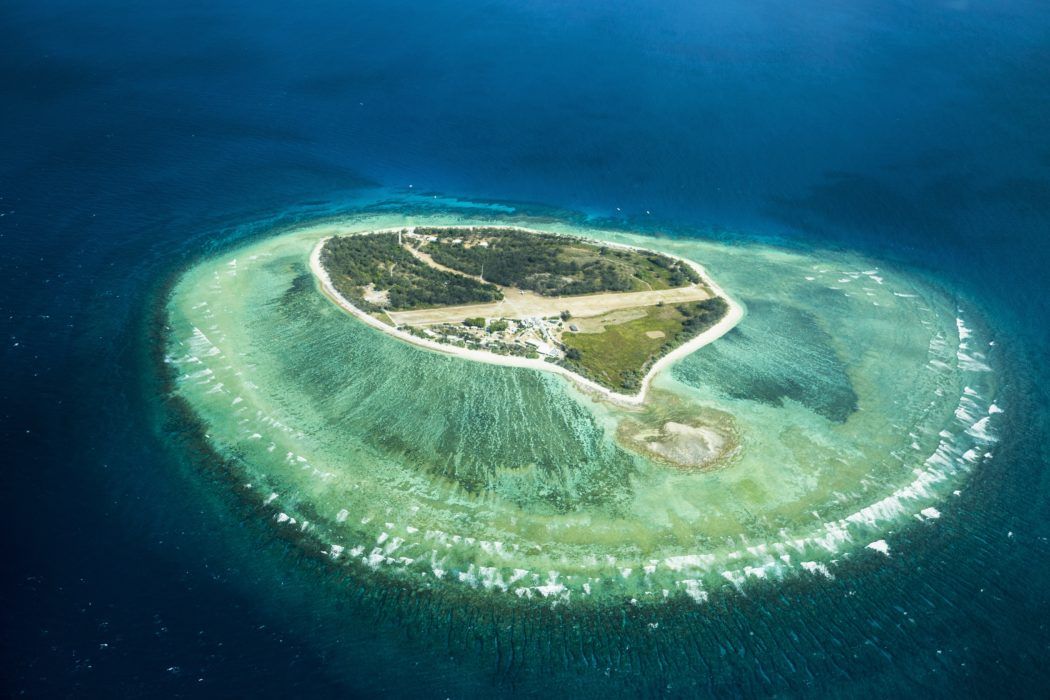 Lady Elliot Island | Great Barrier Reef holiday ideas for your budding marine biologists Lady Elliot Island | Great Barrier Reef holiday ideas for your budding marine biologists