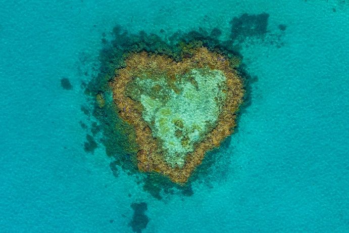 Joshua Smith | Great Barrier Reef aerial photography Joshua Smith | Great Barrier Reef aerial photography