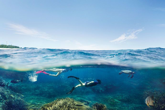 Snorkellers swimming underwater with turtles on Lady Elliot Island Snorkellers swimming underwater with turtles on Lady Elliot Island