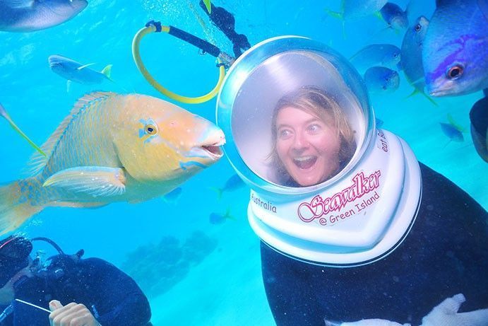 Gavin Seawalker Green Island | 7 weird and wacky marine animals you'll find in Queensland