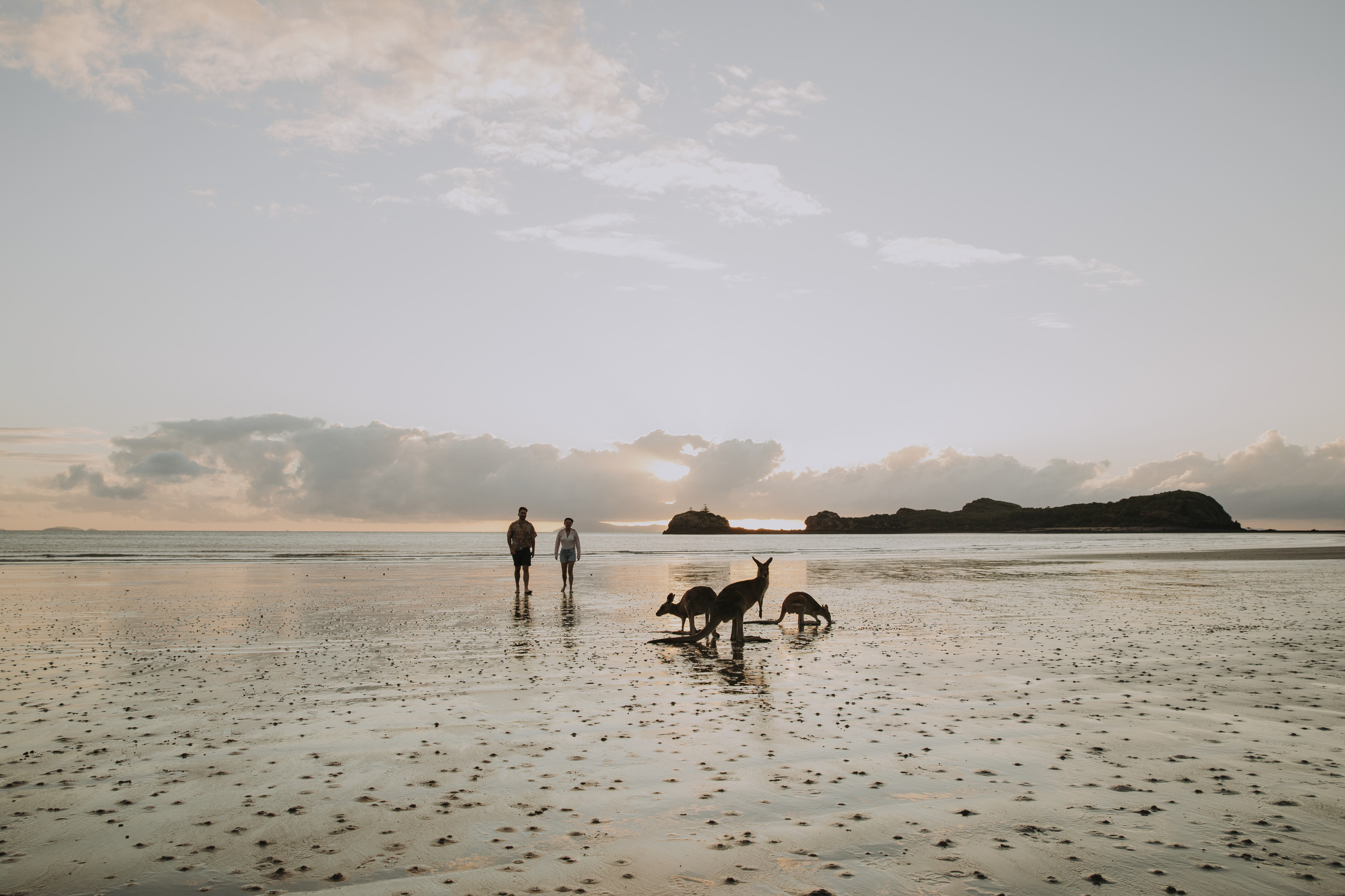 Couple watching the wallabies at sunrise, Cape Hillsborough | must-do queensland road trips