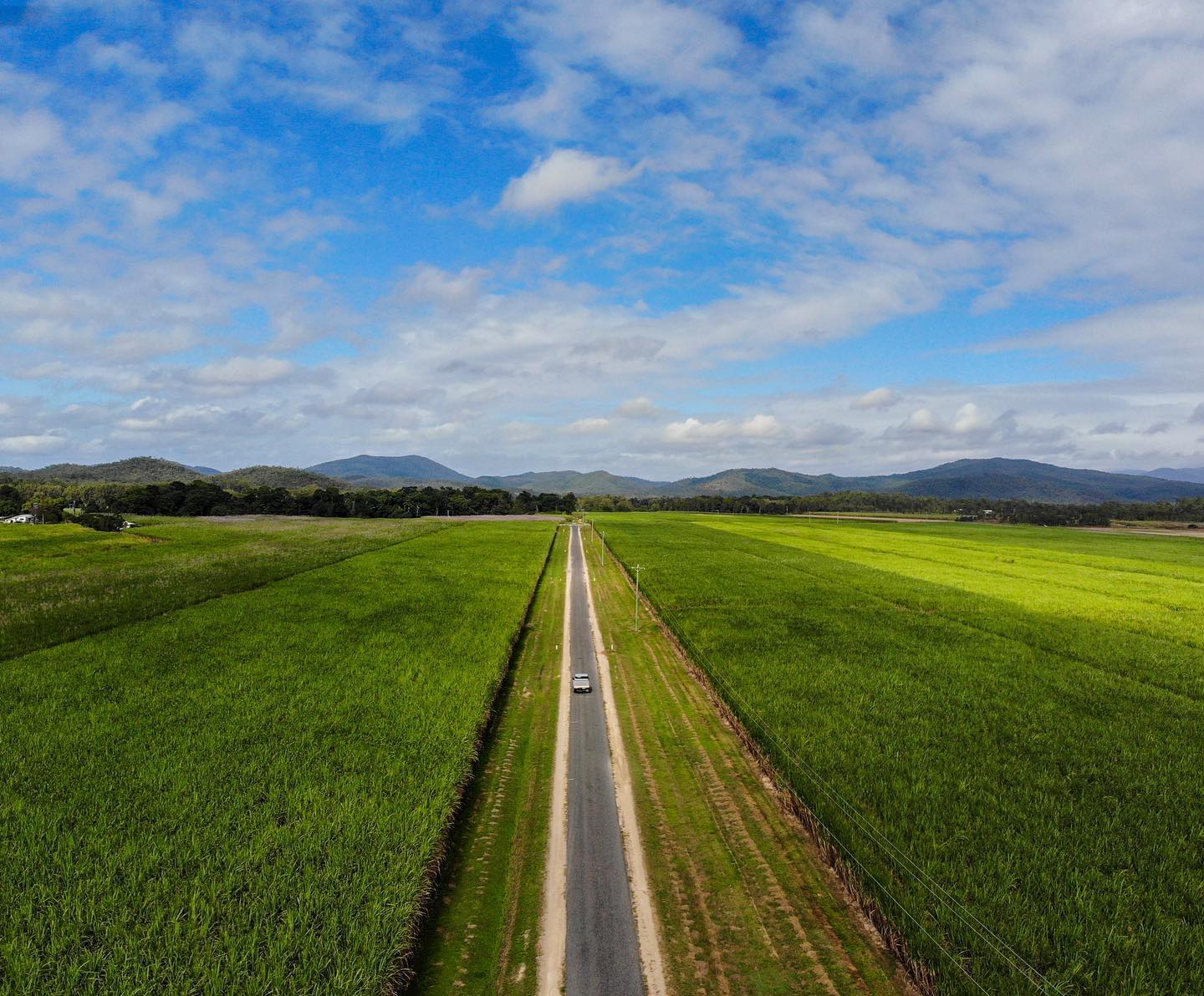 Driving through sugarcane country Mackay | 48 hours Cape Hillsborough Driving through sugarcane country Mackay | 48 hours Cape Hillsborough