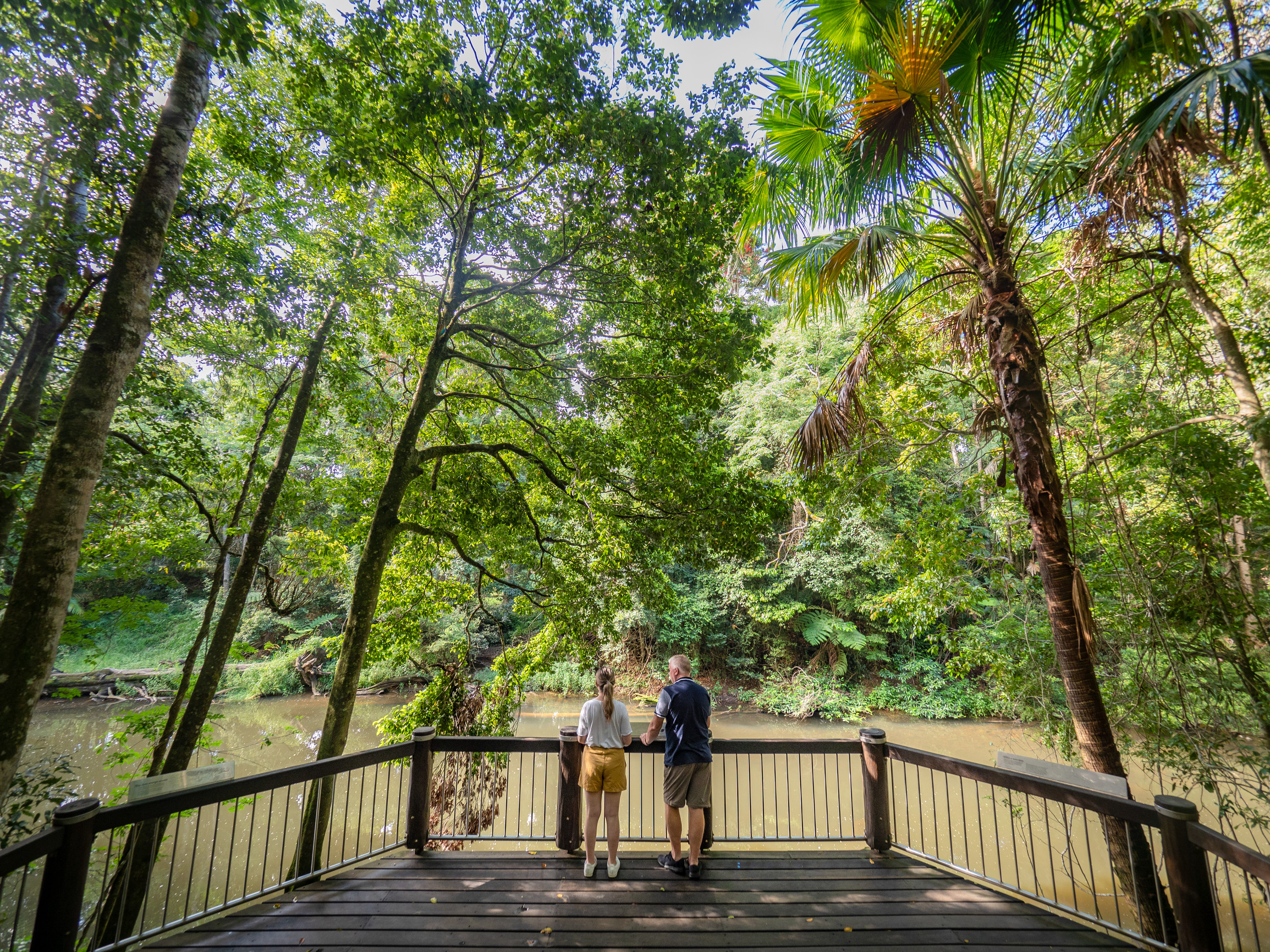 Platypus Viewing Deck at Broken River | Local’s guide to Mackay’s great outdoors Platypus Viewing Deck at Broken River | Local’s guide to Mackay’s great outdoors