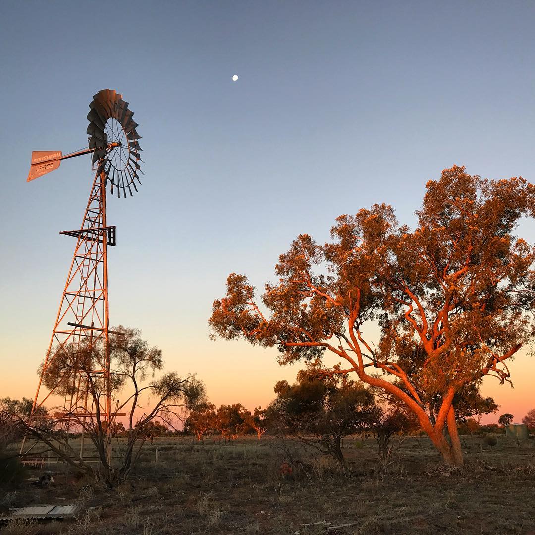 Thargomindah | Queensland’s Natural Sciences Loop