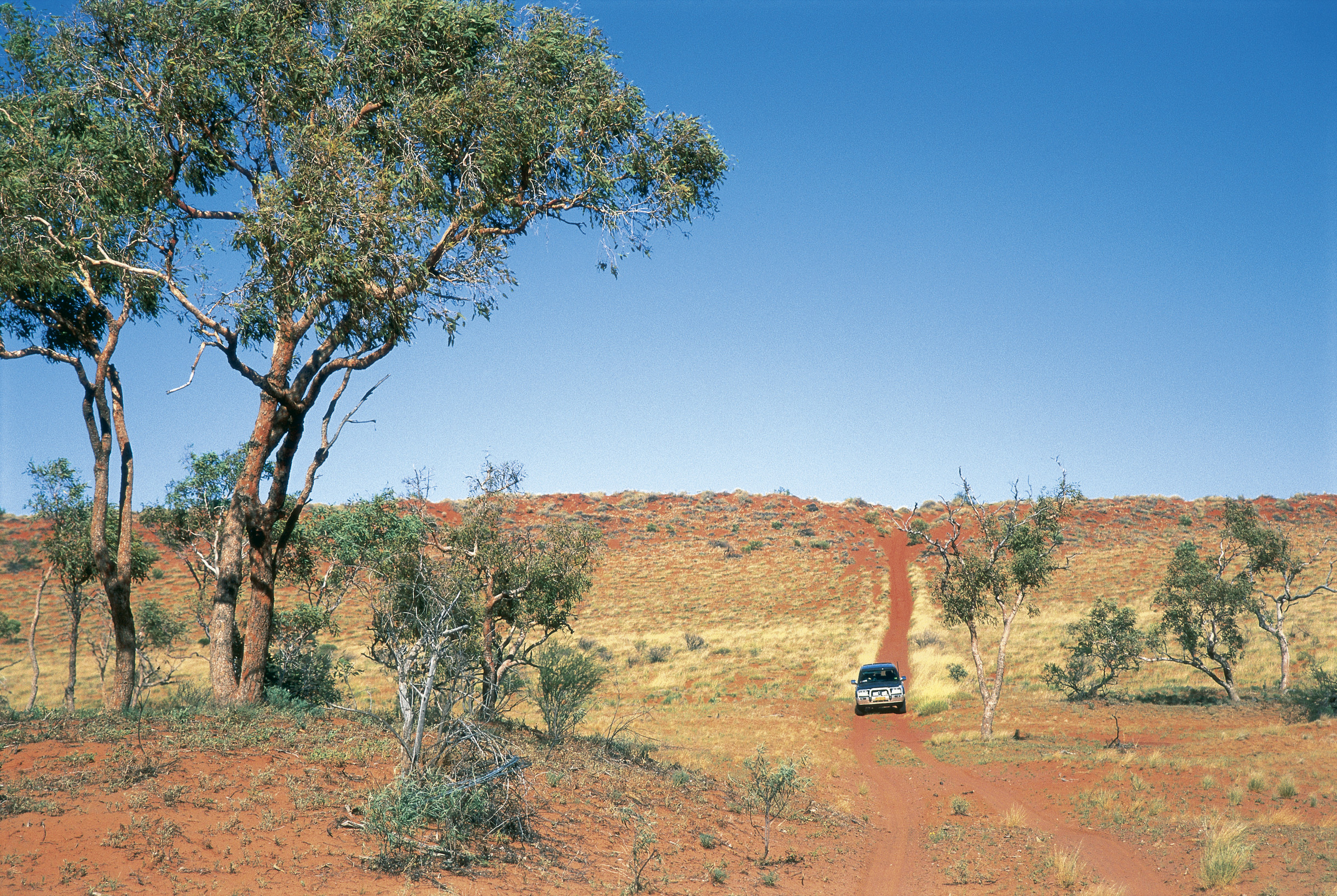 Adria Downs Station Birdsville Track | Queensland national parks by 4WD Adria Downs Station Birdsville Track | Queensland national parks by 4WD