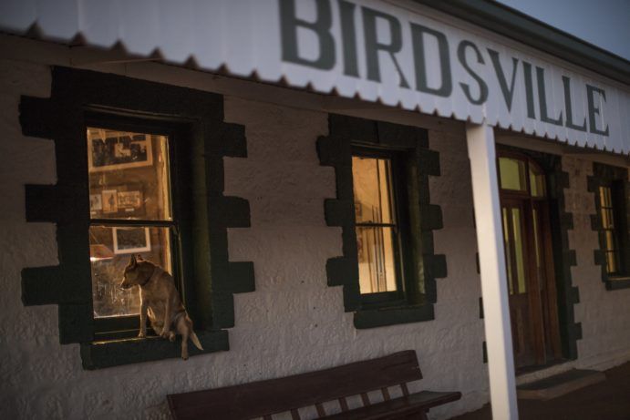 Birdsville Hotel, Outback Queensland | How to care for our wildlife when driving in Outback Queensland