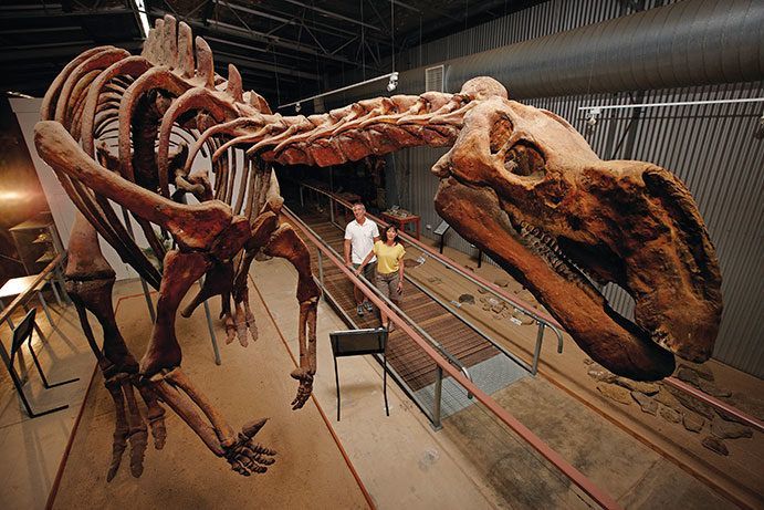 Flinders Discovery Centre Hughenden | Where to see a dinosaur in Queensland Flinders Discovery Centre Hughenden | Where to see a dinosaur in Queensland