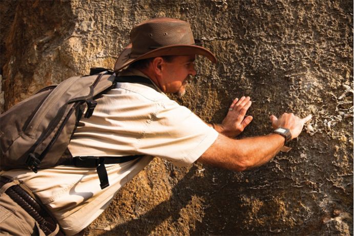 Riversleigh Fossil Site | dinosaurs North West Queensland Riversleigh Fossil Site | dinosaurs North West Queensland