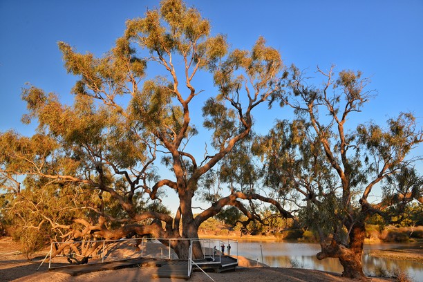 Tourists explore The Dig Tree in Outback Queensland