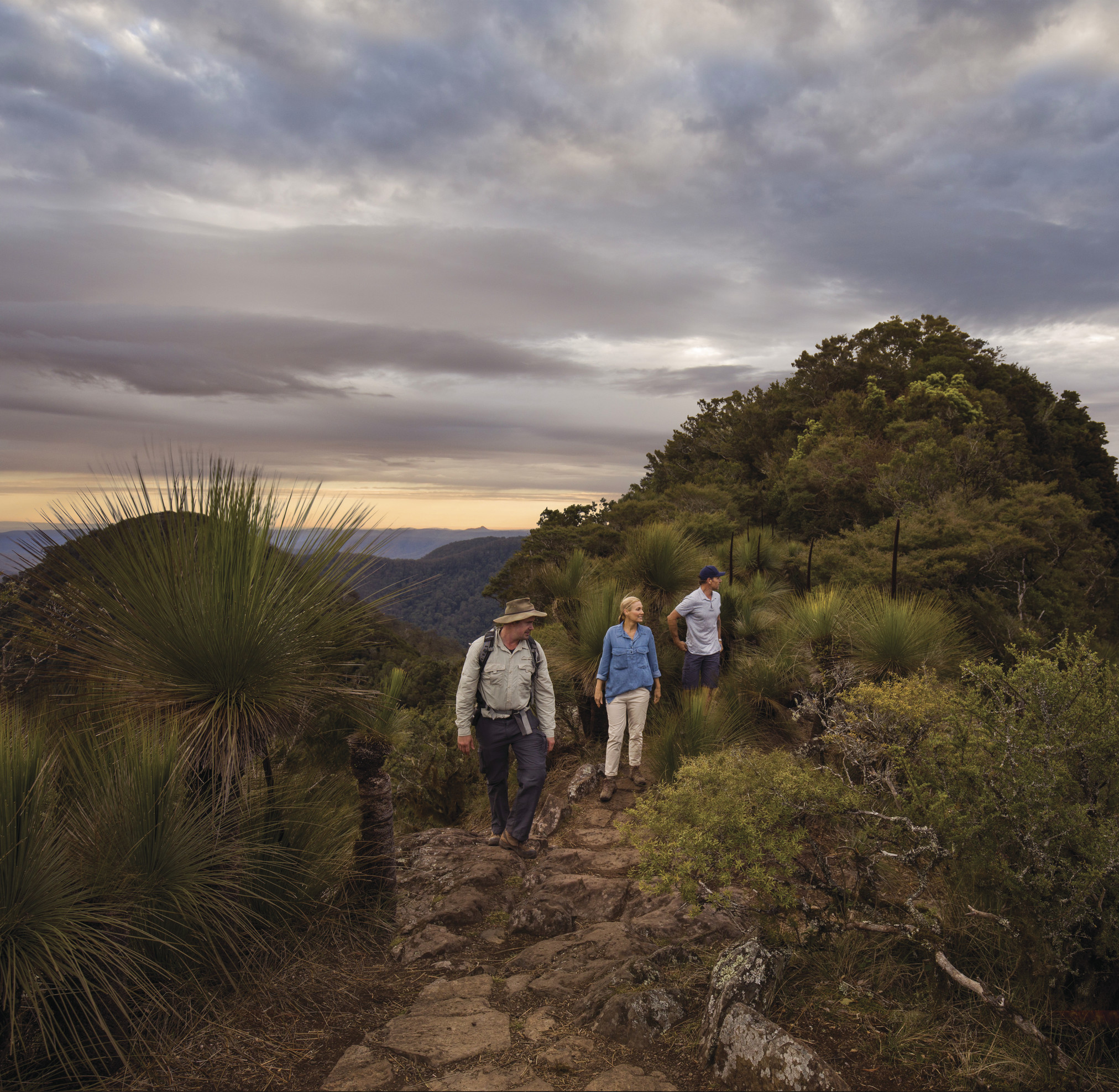 Hikers walking through the forest along the Spicers Scenic Rim Trail