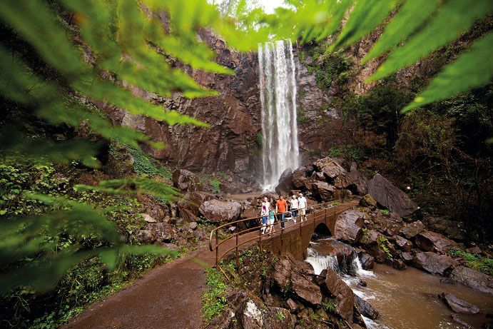 Queen Mary Falls Killarney | family-friendly waterfalls Brisbane Queen Mary Falls Killarney | family-friendly waterfalls Brisbane