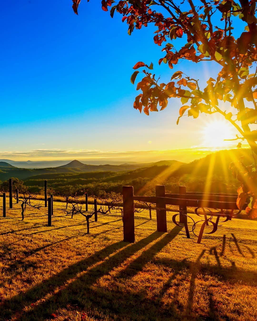 Preston Peak Wines | How to Vine and Shine Trail