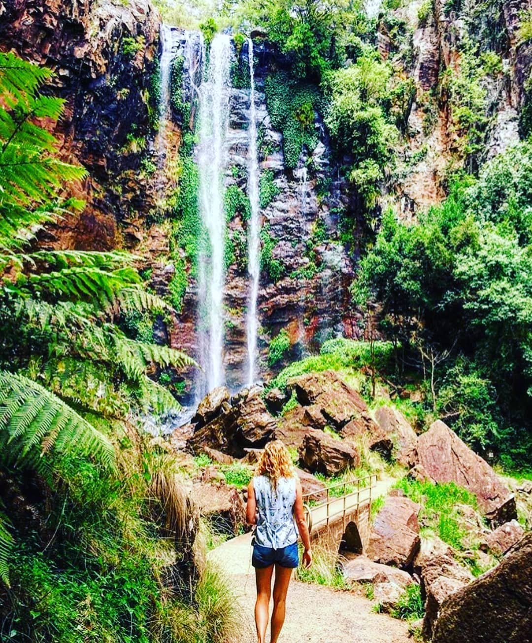 Queen Mary Falls | day trips from Toowoomba
