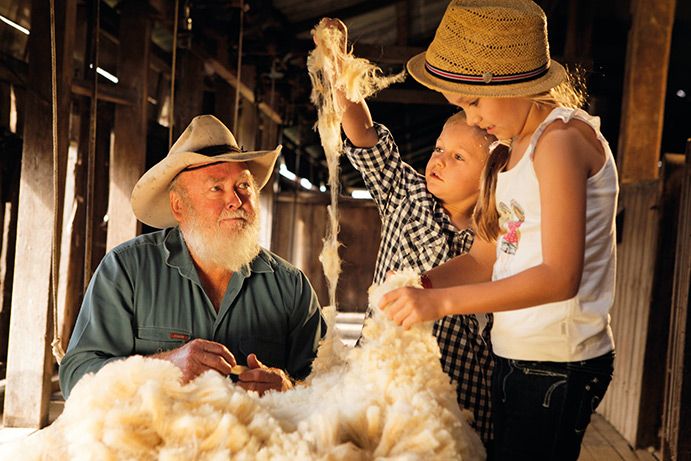 People sheering wool from a sheep People sheering wool from a sheep