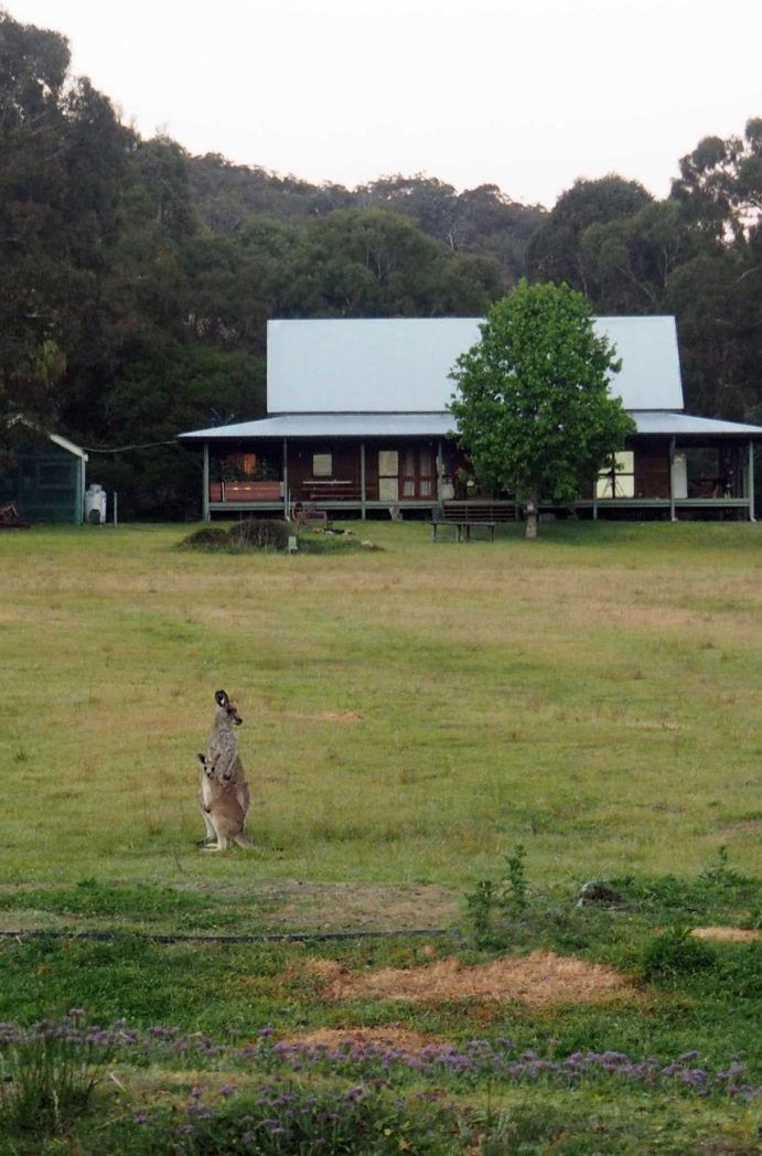 Girraween Environmental Lodge | Meet the makers Granite Belt Girraween Environmental Lodge | Meet the makers Granite Belt