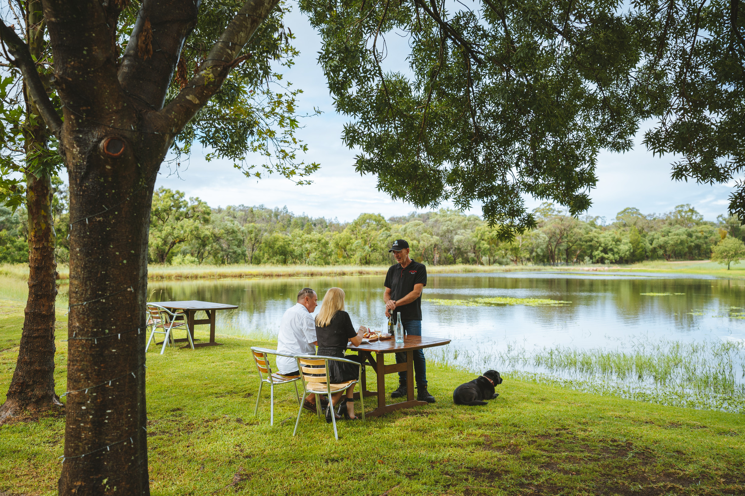 Hidden Creek Winery Cafe Vineyard