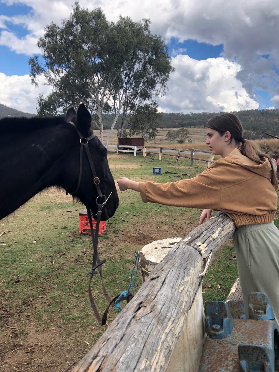 Bestbrook Mountain Resort Farm Stay Bestbrook Mountain Resort Farm Stay