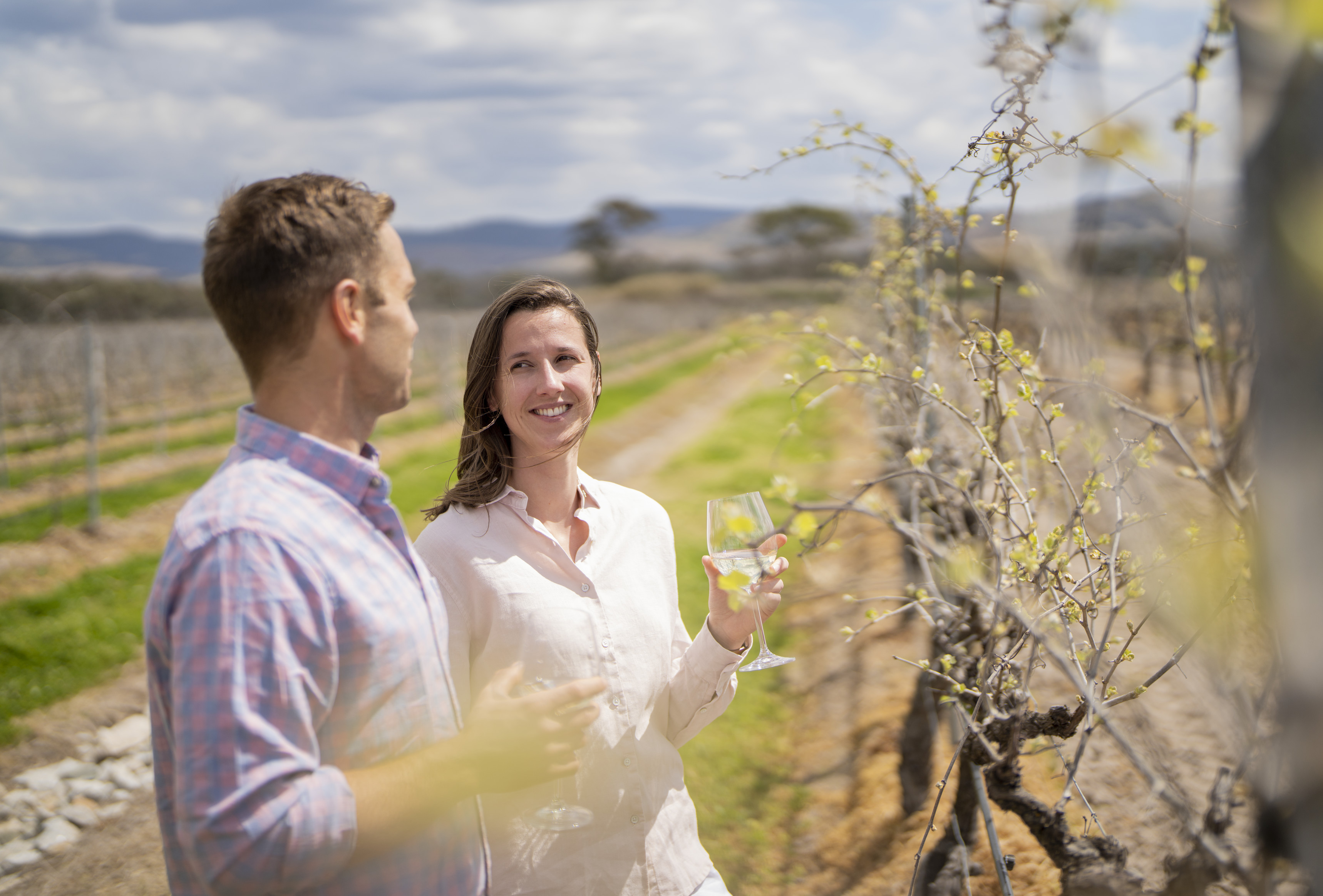 Ballandean Estate Granite Belt | Queensland wineries and cellar doors