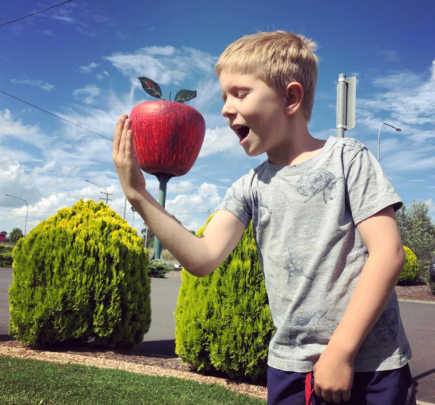 Kid at the Big Apple, Stanthorpe | things to do school holidays southern queensland country Kid at the Big Apple, Stanthorpe | things to do school holidays southern queensland country