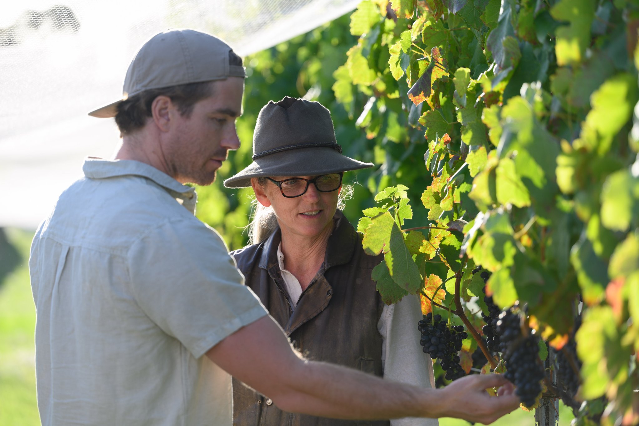 Twisted Gum Wines | Granite Belt wineries