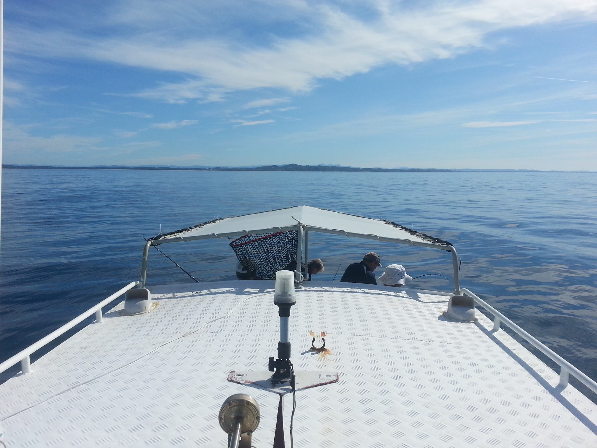 Marlin Fishing in Queensland: Best Places to Catch Them | Queensland