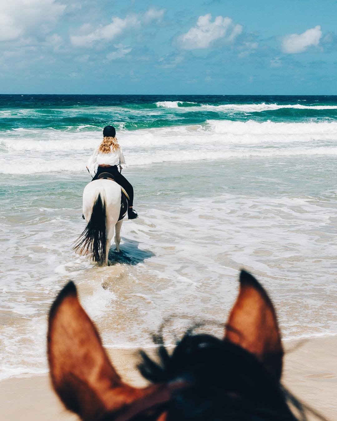 Horse riding on the beach Noosa Equathon Horse Riding | things to do in Noosa with kids Horse riding on the beach Noosa Equathon Horse Riding | things to do in Noosa with kids