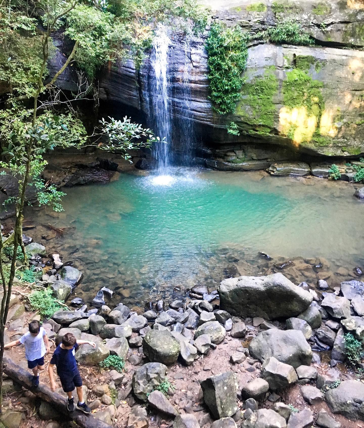 Kids at Buderim Falls Sunshine Coast | family-friendly waterfalls Brisbane Kids at Buderim Falls Sunshine Coast | family-friendly waterfalls Brisbane