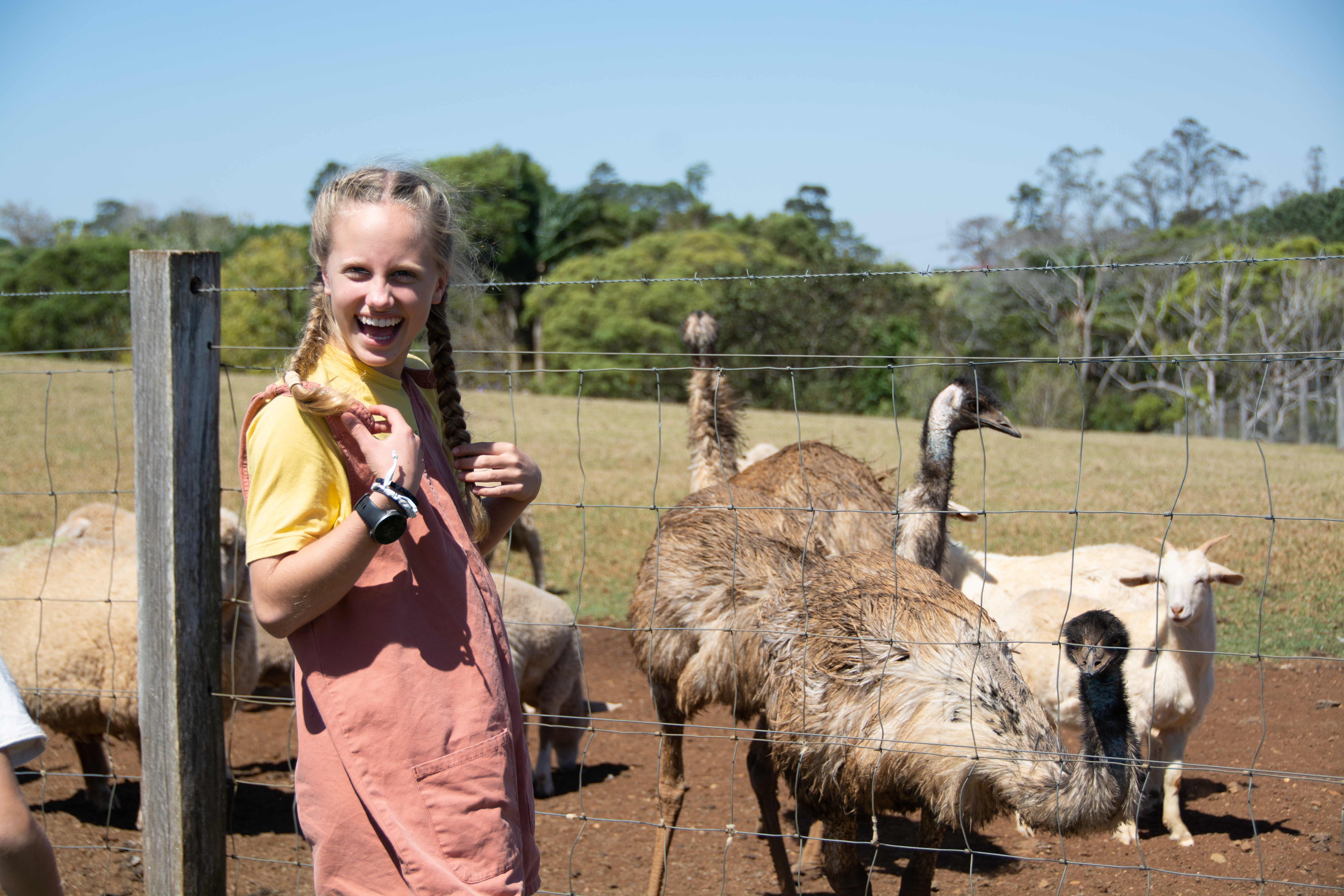 A teenage girl looking at wildlife at Maleny Dairies