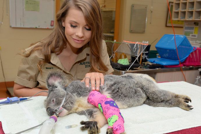 Bindi Irwin_Wildlife Hospital | Australia Zoo