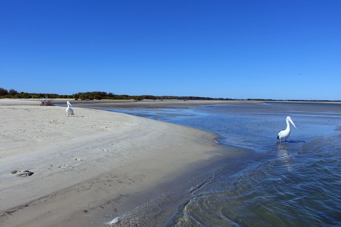 Bribie Island | Caloundra retro beach holiday Bribie Island | Caloundra retro beach holiday