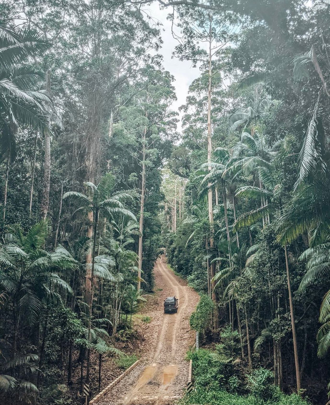 4WD in Conondale National Park