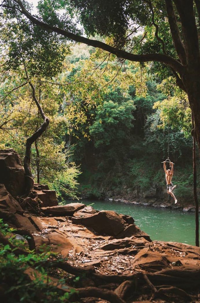 Gardners Falls Maleny | day trips Sunshine Coast Gardners Falls Maleny | day trips Sunshine Coast