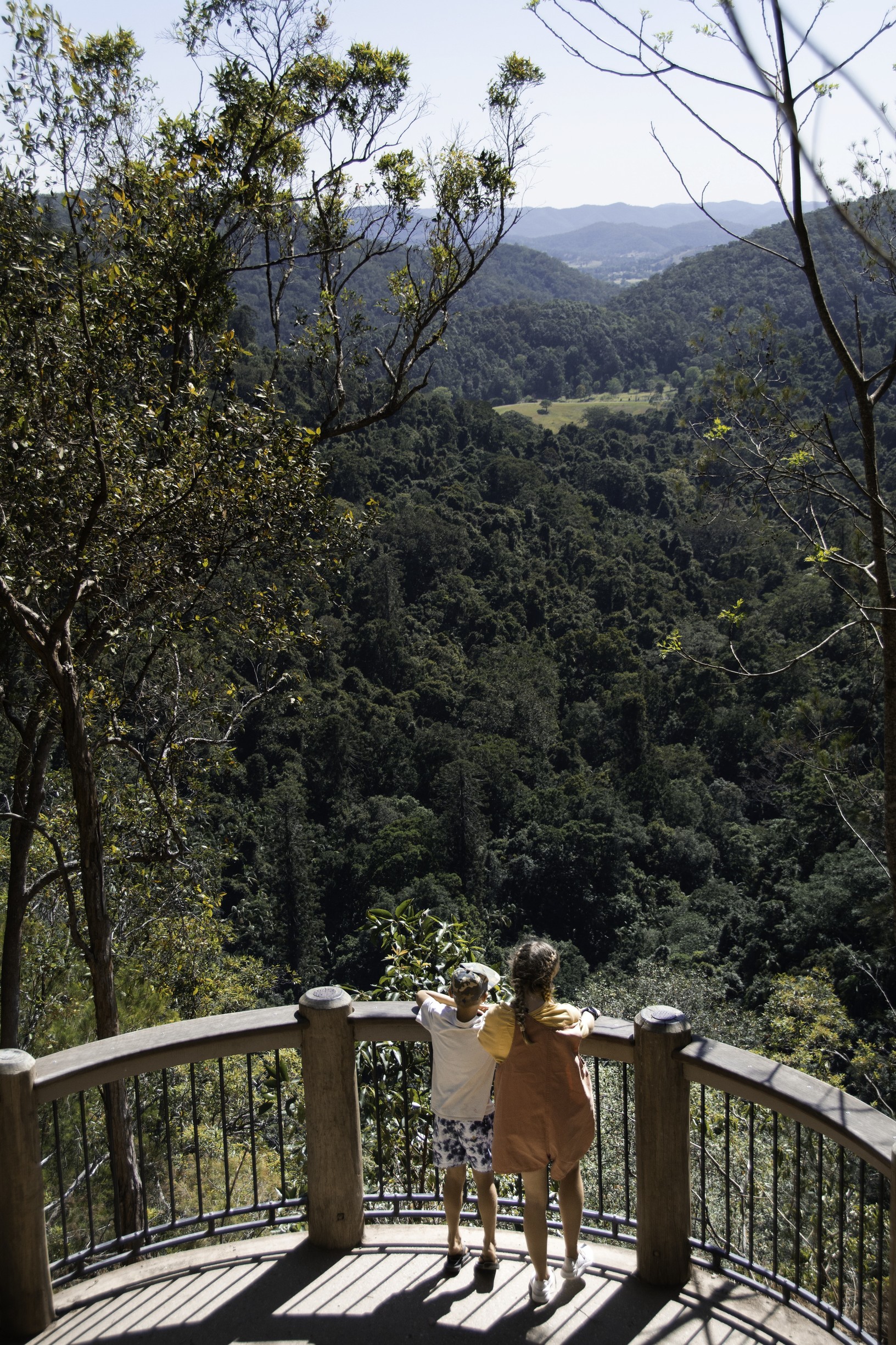 Kondalilla National Park Sunshine Coast Hinterland | Best things to do for teenagers Queensland