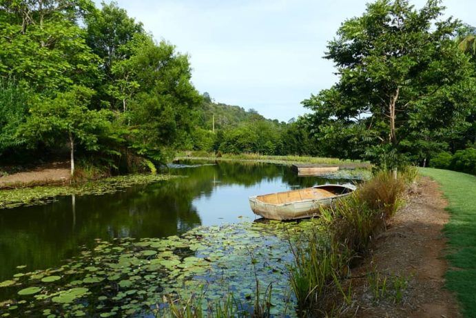 Maleny Botanic Gardens | Things to do with kids Sunshine Coast