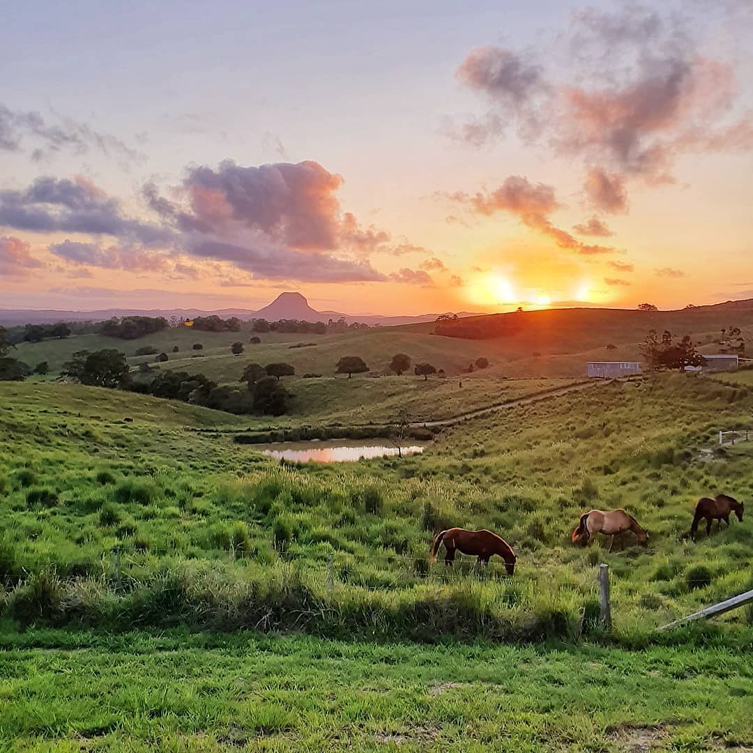 Country Drive | Noosa Hinterland Guide Country Drive | Noosa Hinterland Guide