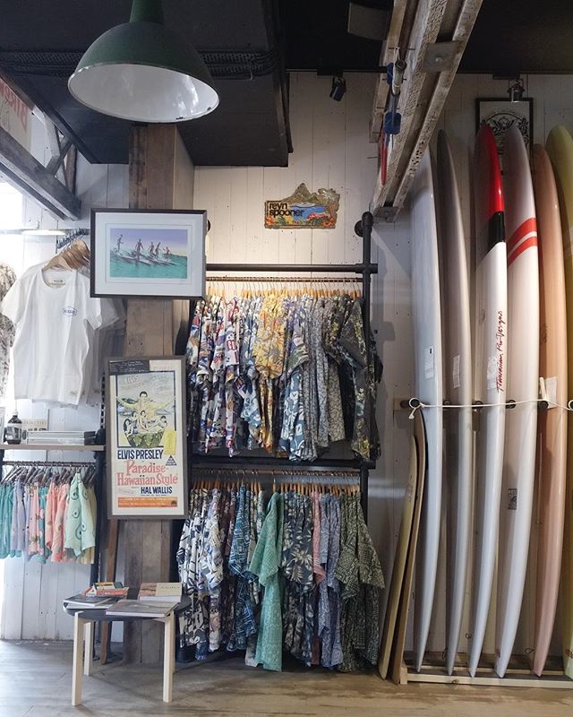 Noosa Longboards | Surfing Noosa Noosa Longboards | Surfing Noosa
