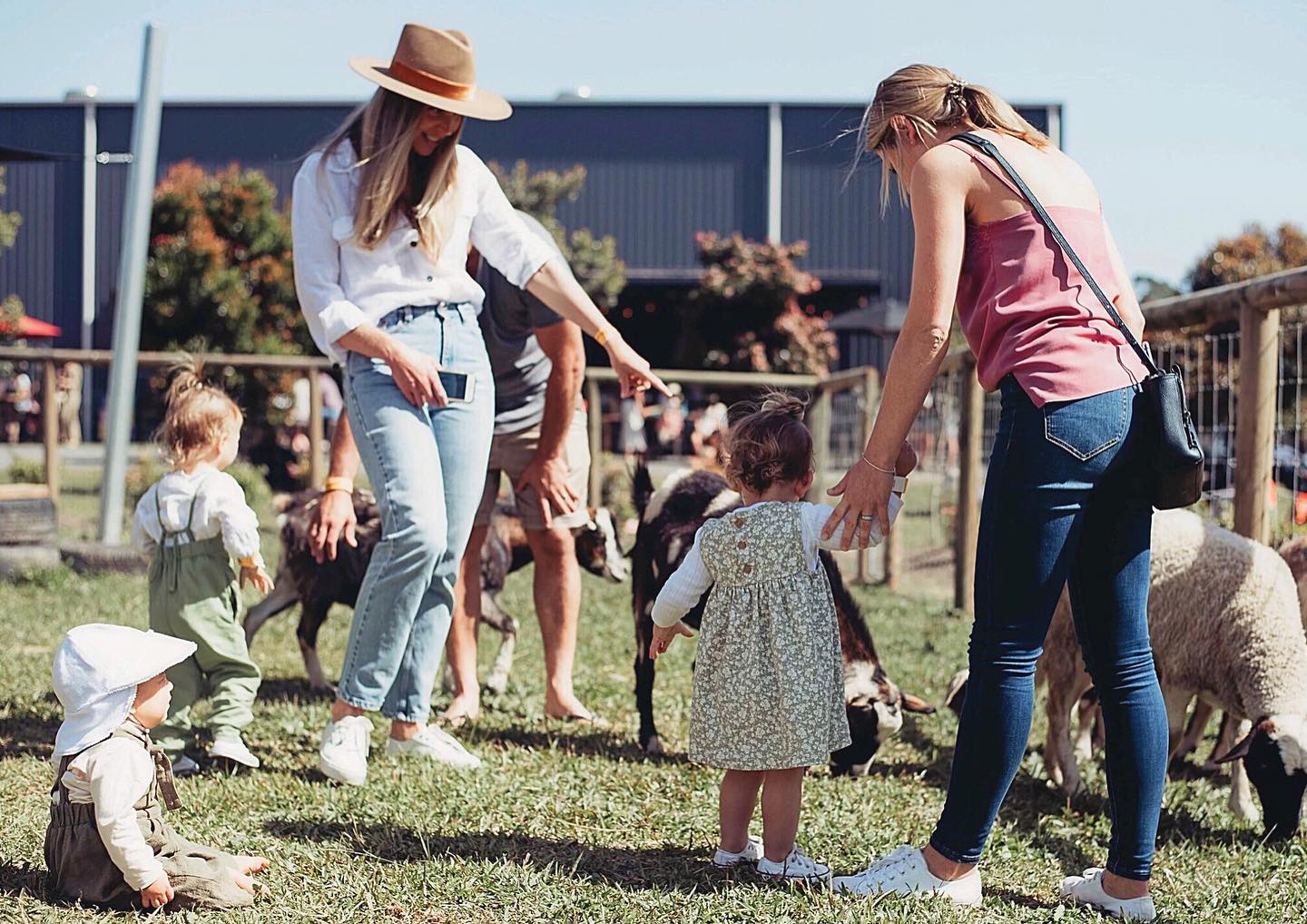 parents and children meet farmyard animals at a sunshine coast brewery parents and children meet farmyard animals at a sunshine coast brewery