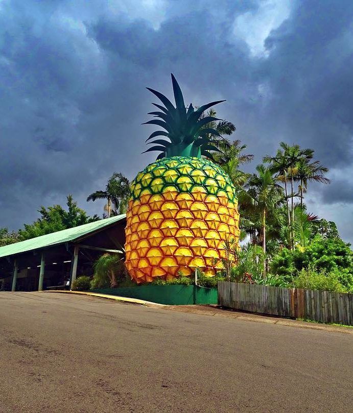 Queensland's Big Things Road Trip Queensland — free download