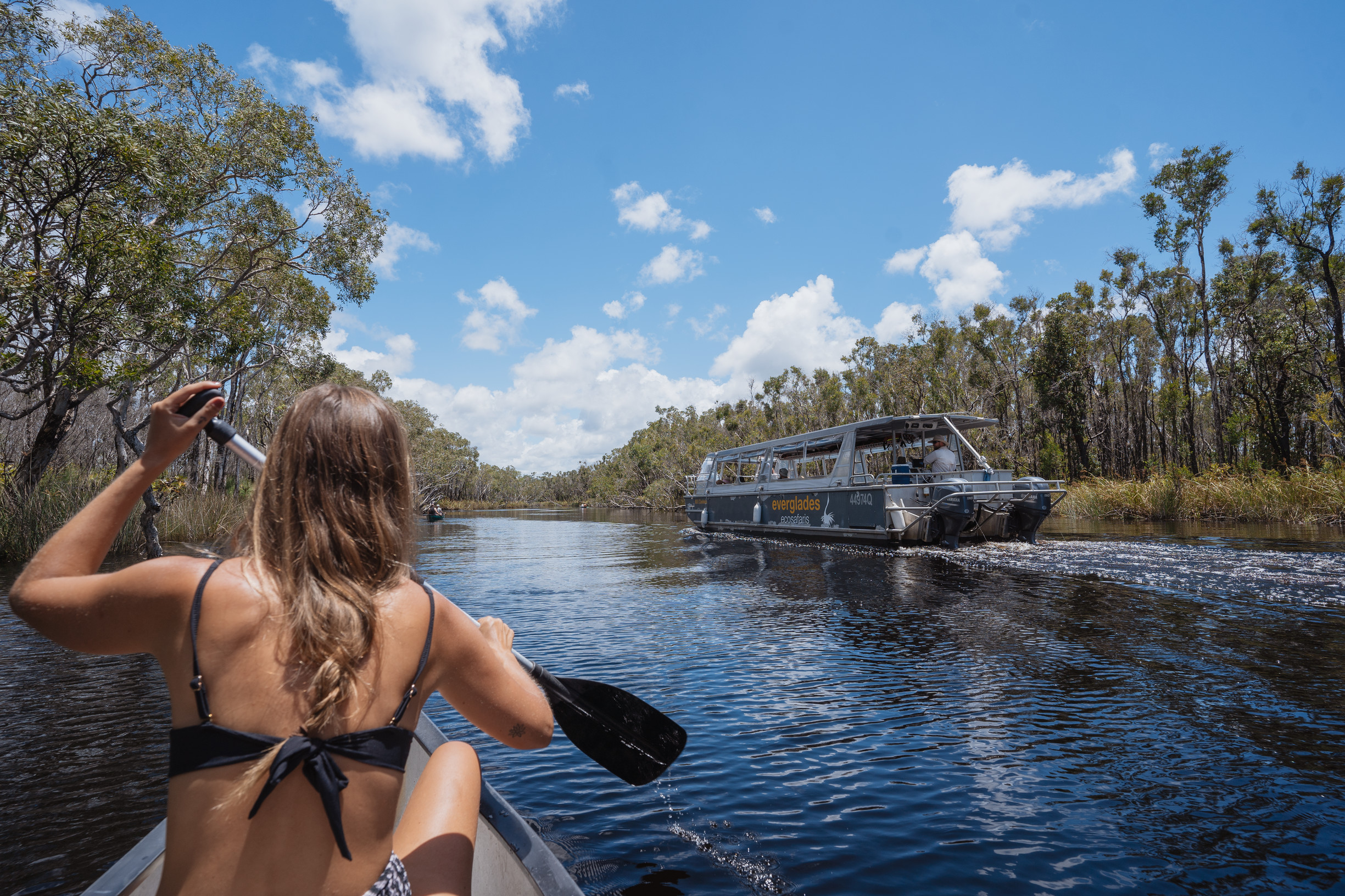 Canoeing through the Noosa Everglades with Habitat Noosa | school holidays sunshine coast Canoeing through the Noosa Everglades with Habitat Noosa | school holidays sunshine coast