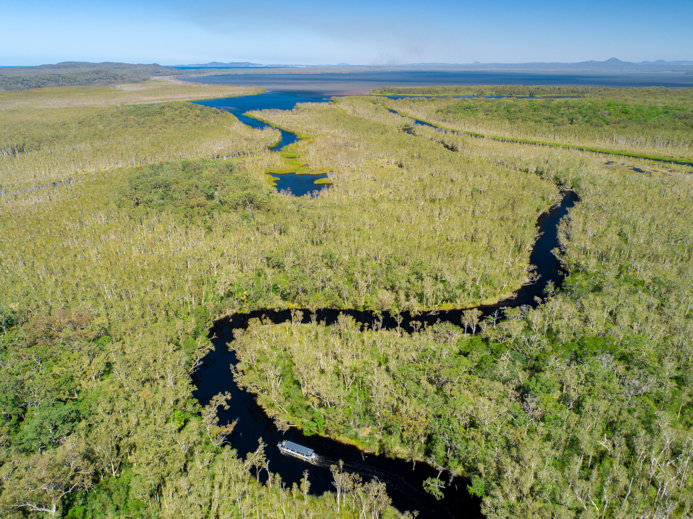 Electric boat navigates through winding everglades waterways