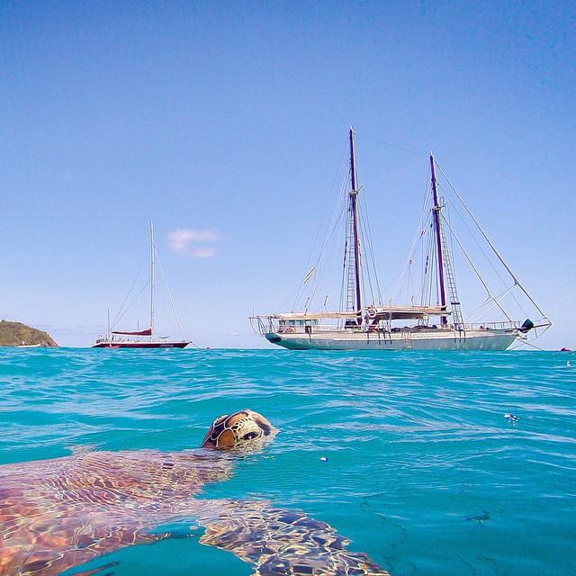 Derwent Hunter | whitsundays sailing Derwent Hunter | whitsundays sailing