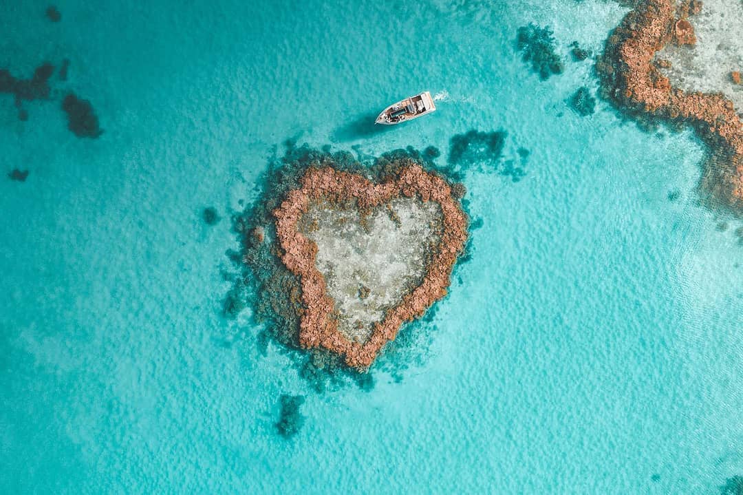 Heart Reef, The Whitsundays Heart Reef, The Whitsundays