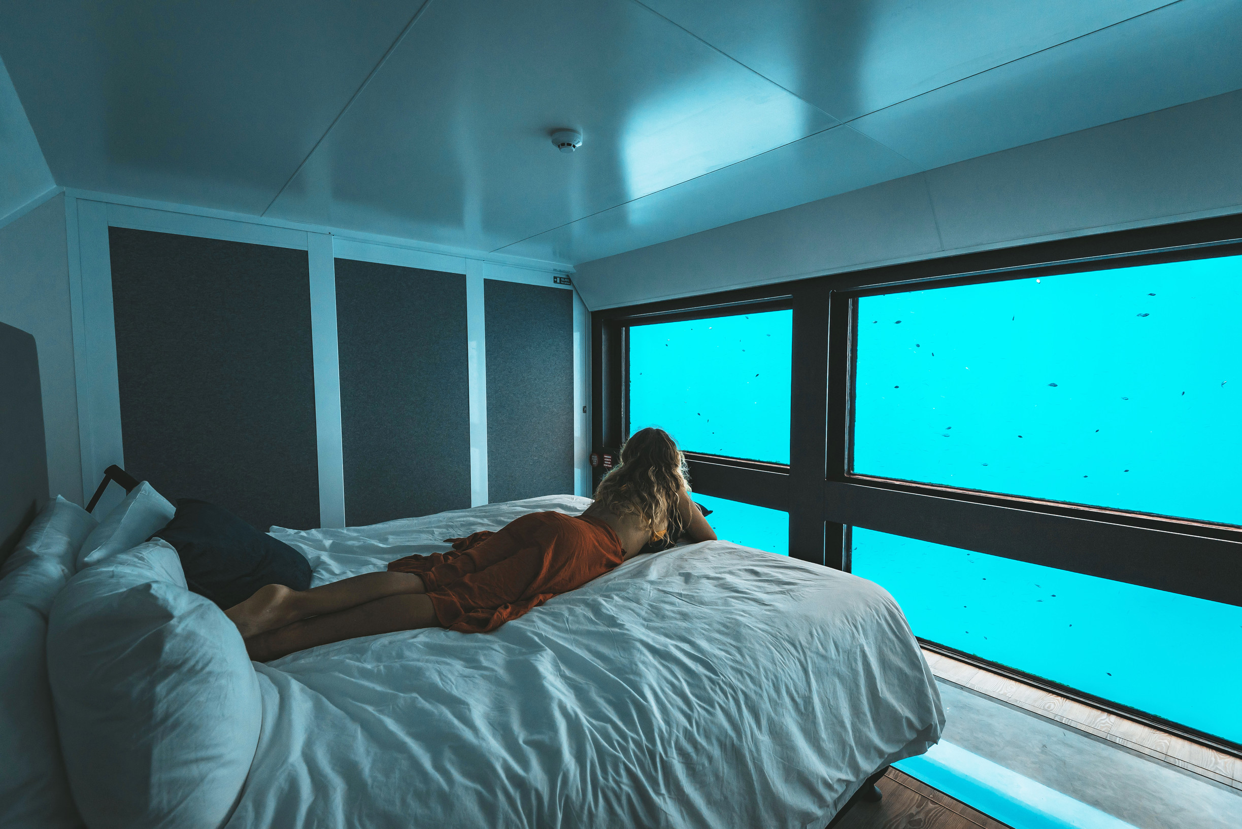 Reef Suites | the whitsundays for couples Reef Suites | the whitsundays for couples
