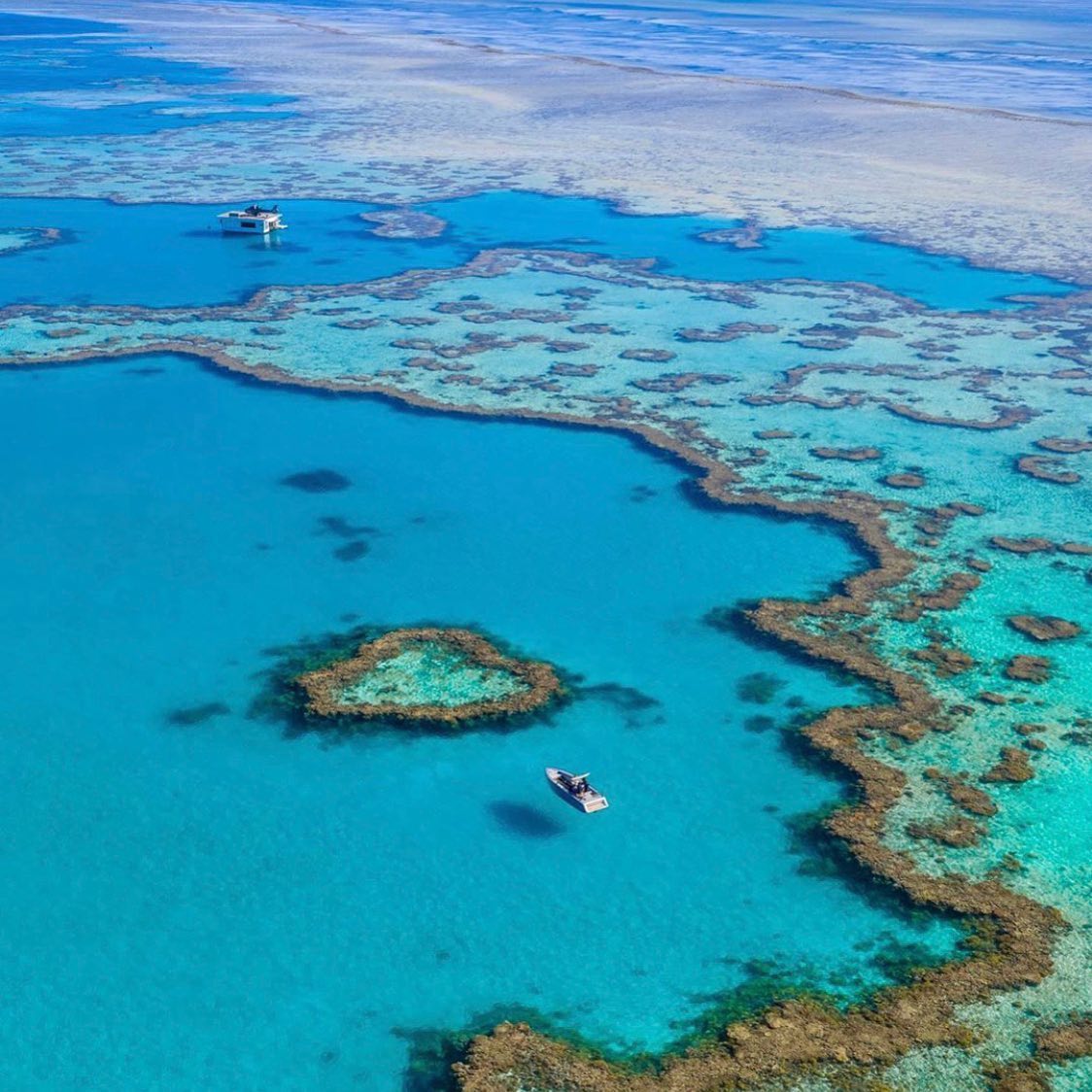 Heart Reef | the whitsundays for couples Heart Reef | the whitsundays for couples