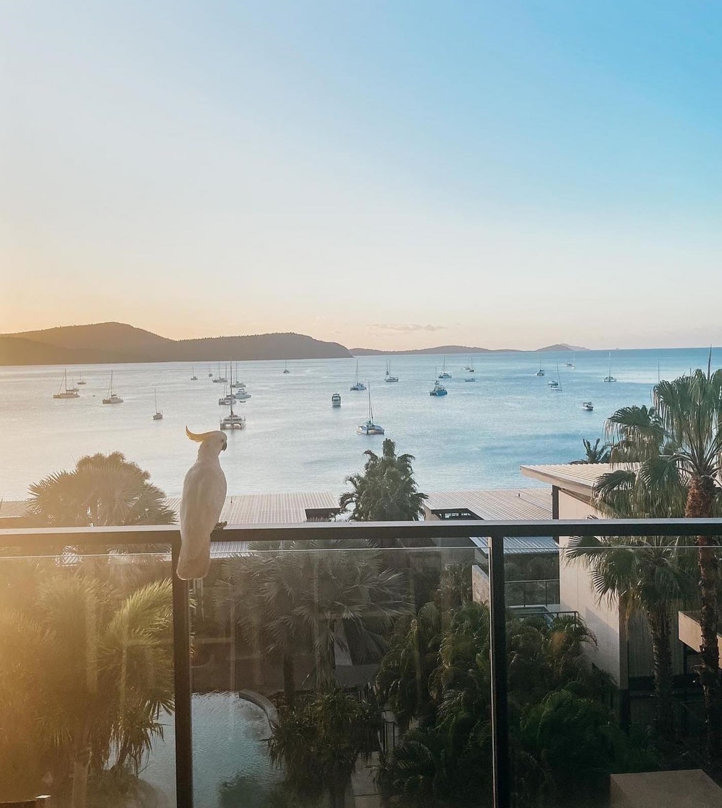 Mirage Whitsundays | Airlie Beach accommodation guide Mirage Whitsundays | Airlie Beach accommodation guide