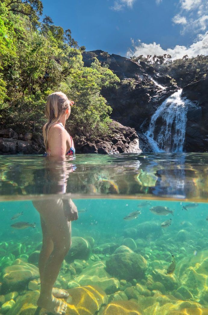 Hinchinbrook Island | Cardwell things to do Hinchinbrook Island | Cardwell things to do