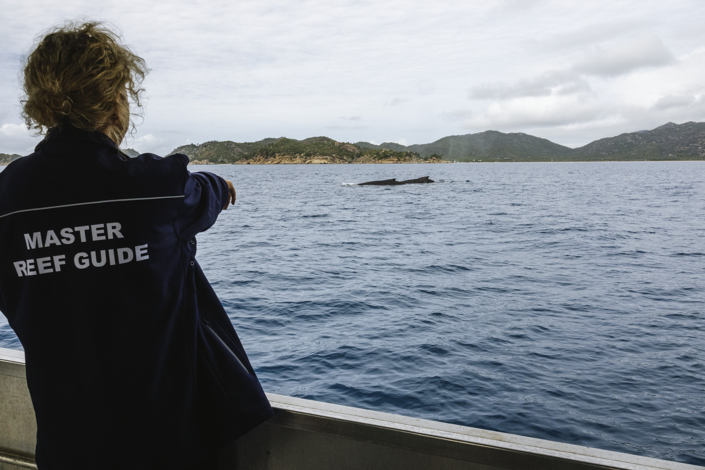 Master Reef Guide Master Reef Guide
